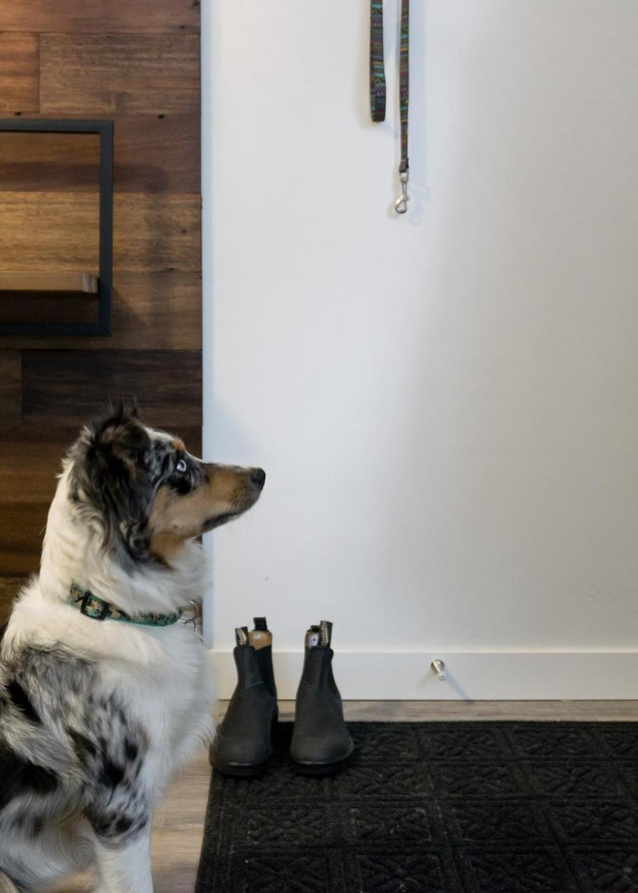 Tiny Homes By Snow Valley Lodging Fernie Esterno foto